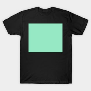 Solid Mint T-Shirt